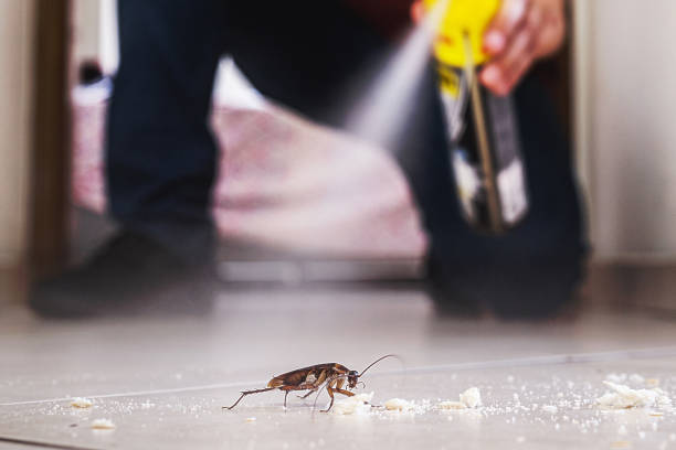 Evansdale, IA Pest Control Company