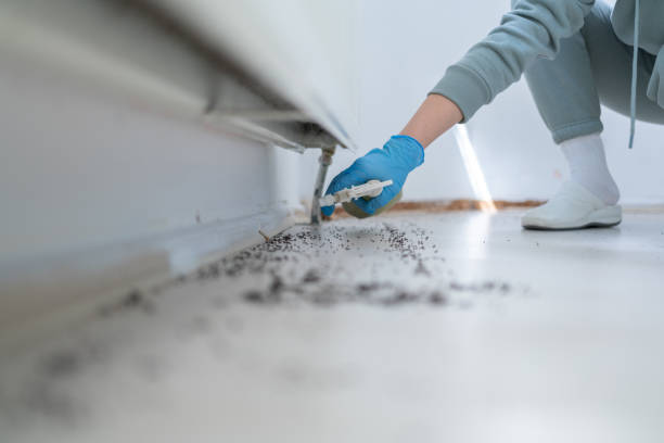 Best Affordable Pest Control Services  in Evansdale, IA